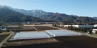 山々を背景にした農地に並ぶいちご栽培用の白いビニールハウス。冬季の晴天下の風景