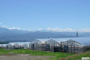 農業用ハウスの画像