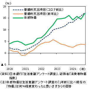 体感物価と基礎的支出項目（コロナ前比）のグラフ