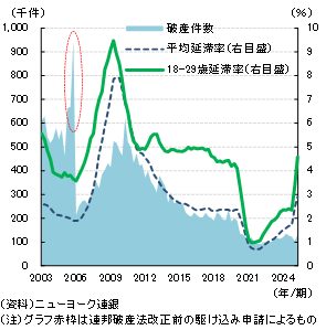 2000年から2024年までの提供件数（千件、青色面グラフ）と延滞率（%、緑色線グラフ）の推移。18～29歳延滞率と平均延滞率を比較
