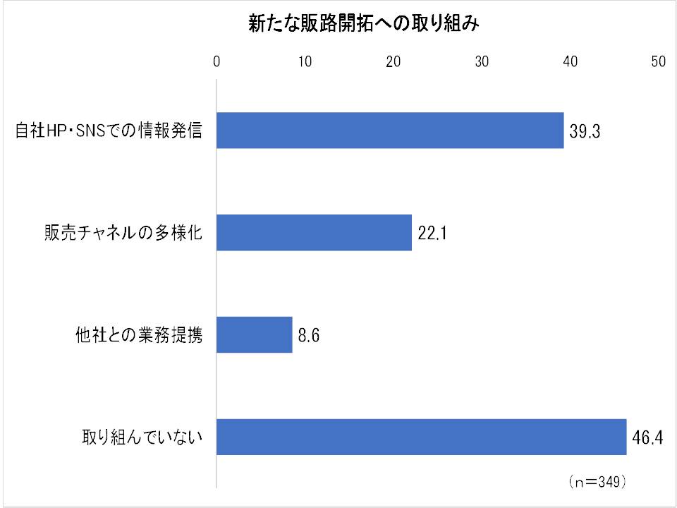 新たな販路開拓への取り組みの資料です