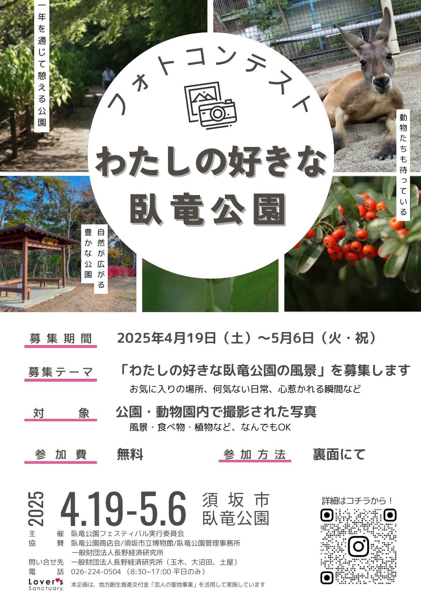 フォトコンテスト 「わたしの好きな臥竜公園」のチラシ表面