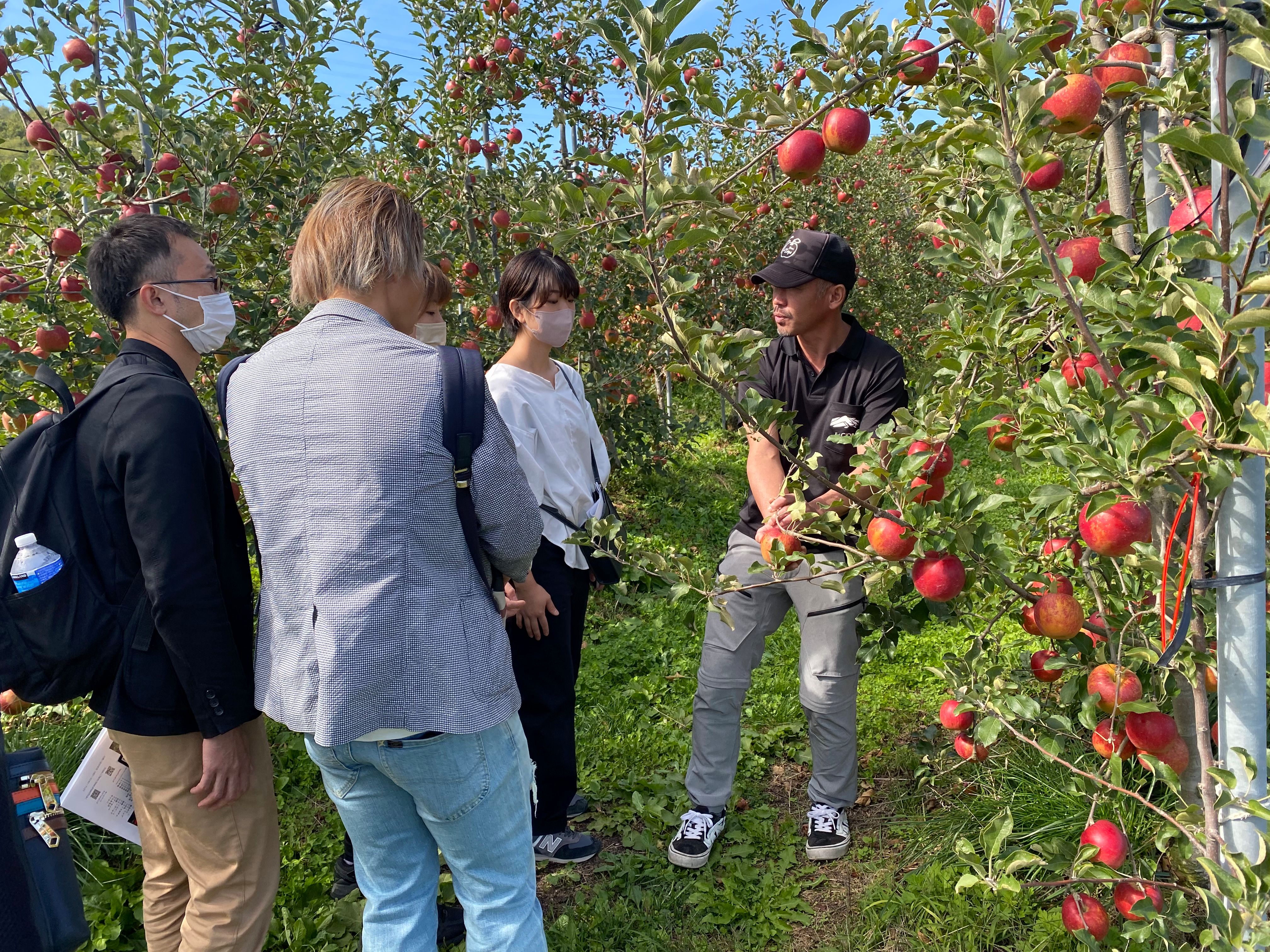 りんご農家ツアー2の画像です
