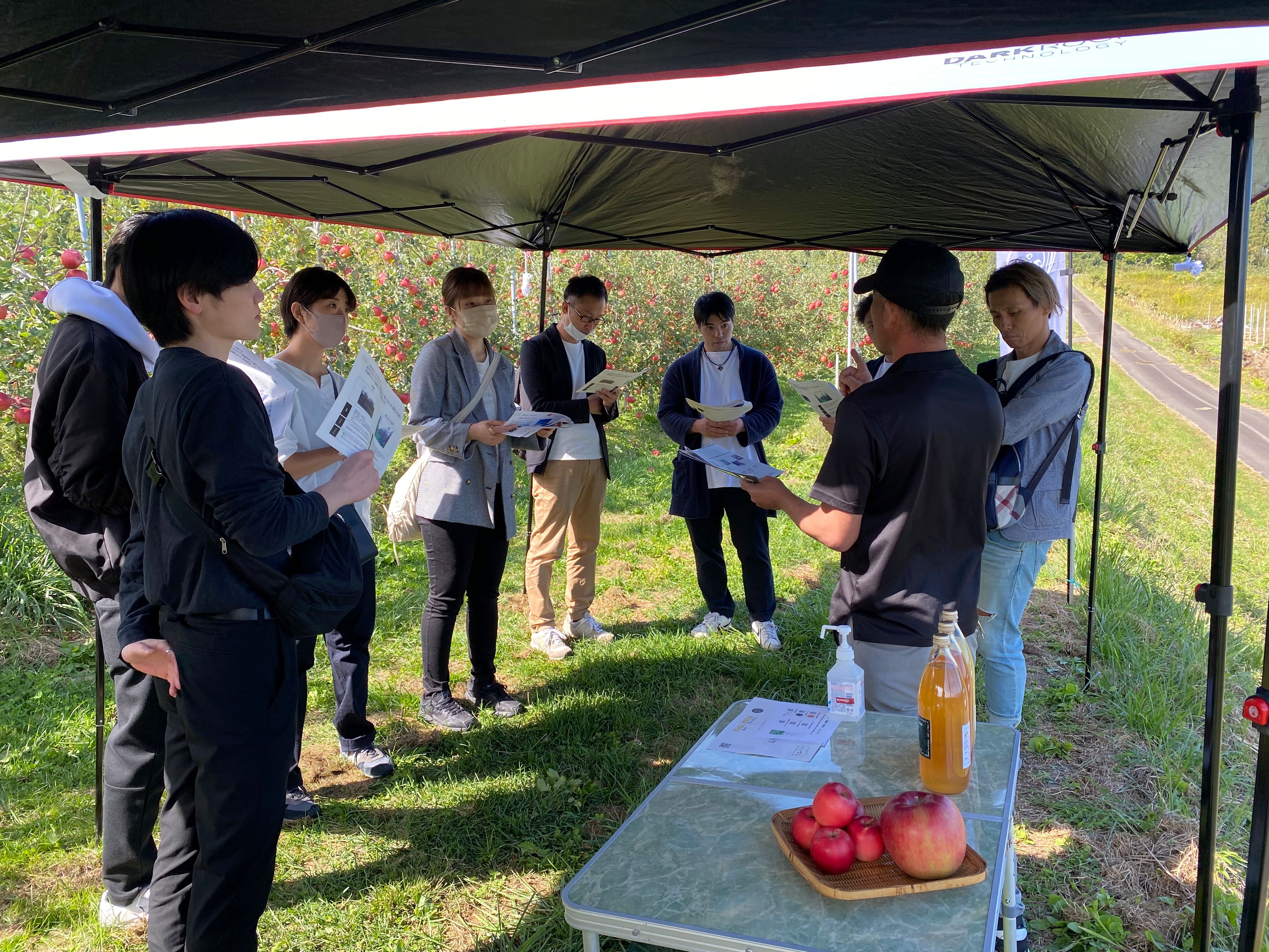 りんご農家ツアー4の画像です