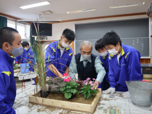 ミニ庭園づくりの画像です