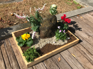 ミニ庭園づくりの様子2