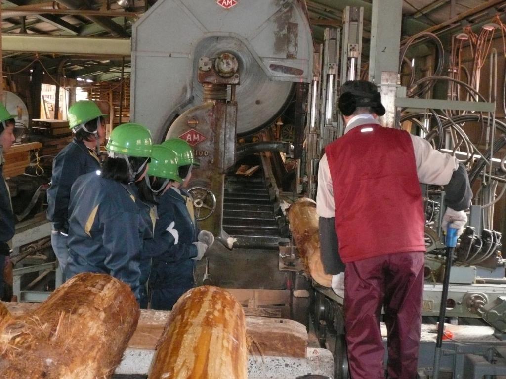 製材実習の様子