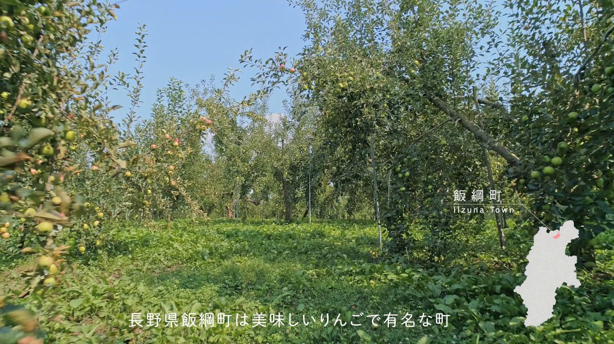 りんごで有名な町